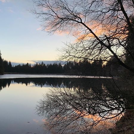 Waldhaus Hahnenklee Apartman Goslar Kültér fotó
